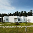 스테이비안 이미지