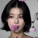 에스 파이브C 이미지