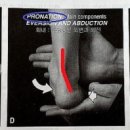 드래곤 파라다이스 짐 이미지