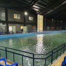 숲속애바다실내낚시터 이미지