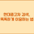 현대 이미지