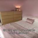 그린하우스닥터 이미지