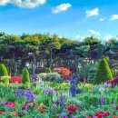 평택 원평나루 억새축제 이미지