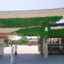 국립경주박물관 이미지