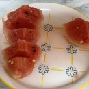 남석농장 이미지