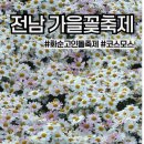 공룡주유소 | 전남 화순 고인돌 가을꽃 축제) 코스모스 개화 상황, 주차장 화장실 정보