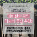 오토플랜잇 | 아기와 에버랜드 가기 꿀팁! 다녀온 후기와 최고의 동선 추천 / 플랜잇3 활용하기 / 로스트밸리 사파리...