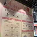 페이스아이웨어 윙크 두타점 | 동대문 쇼핑 패션부터 맛집까지 한공간에서 즐겼던 재밌는 두타몰 방문 후기