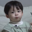 비주얼카 이미지