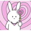 사파동101 이미지