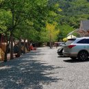 동막골캠프 이미지