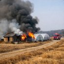 유지마을2농로 이미지