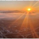 슬기로운공인중개사사무소 이미지