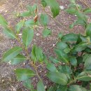 창이대로 이미지