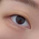주식회사투썸플레이스천안불당점 | 불당동 속눈썹펌 프롬리즈 천안 로뮤 단골하고 싶은 곳