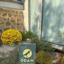 가좌1-11-032 이미지