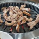 한양후레쉬