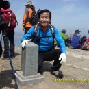 여수 진례산 철쭉축제 이미지