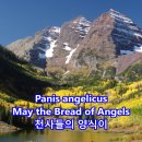 생명의 양식 이미지