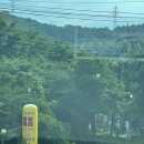 고골참숯장어 이미지