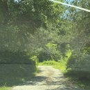 덕현3농장 이미지