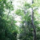 상상초당 이미지