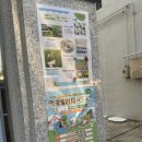 멍뭉호텔 이미지