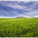 경관농장 이미지