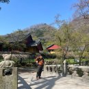 백양사 삼거리 화장실 이미지