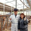 박현목장 이미지