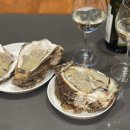 장목수산센타 | 거제 한화리조트 근처 거제도 수산센터 장목수산센터 바위굴 후기