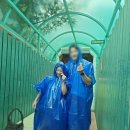 군산우리별유치원 | 11월 가기 전에 후다닥 쓰는 9월 일상(실화냐고;;;)