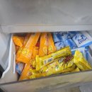 송무검도관 이미지