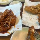 아이조아 캣파크 서울점 이미지