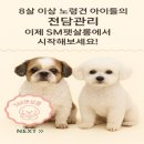 SM펫살롱 이미지