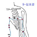 12경락도(十二經絡圖) 이미지