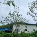 팽나무 농장 이미지