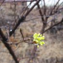 봄비식당 이미지