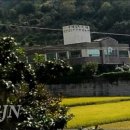 국제친환경농산