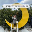 가을동화 | 제주투어패스 :: 아이랑 제주도 감귤 따기 체험 가을동화 감귤밭 후기