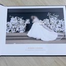 반디불이 | 팔레드오페라 원판앨범 수령 후기(약 3달 1주일 걸림)