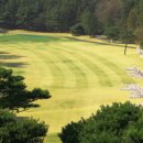 삼남개발(주) 기흥컨트리클럽 이미지