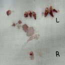 사직동물의료센터 이미지