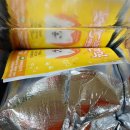 댕댕이 홀딱 반한 간식 | 댕댕이 홀딱 반한 간식표 강아지 마들렌 &amp; 치킨 테린!