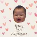 하빈쇼핑