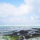 김녕해수욕장 이미지