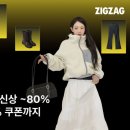 지그재그 이미지