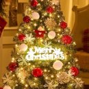 트리트리 이미지