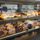 스테이 소로 이미지