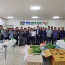 가락4리 이미지